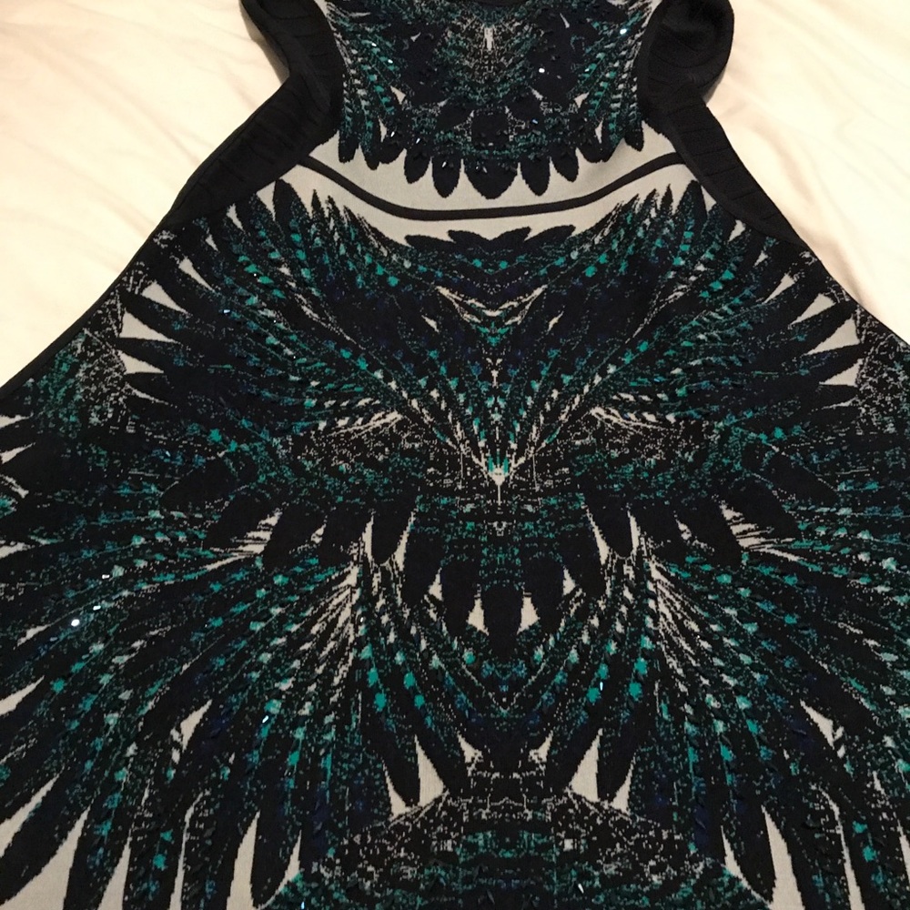 Herve ledger Isabela dress
